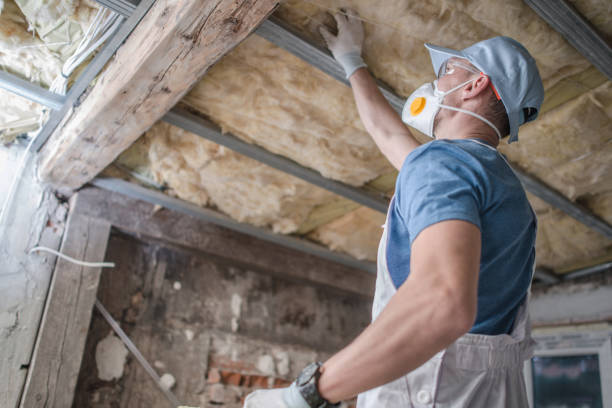 Trusted Waverly, NY Insulation Contractor Experts